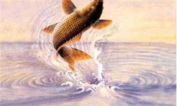 中國(guó)歷史悠久的鯉魚文化