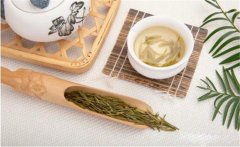 飲茶能治頭痛嗎？關(guān)于飲茶治頭痛的記載