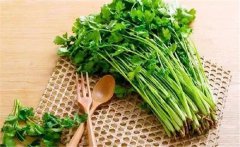 什么是食物的辛酸甘苦咸？各類食物的作用特點