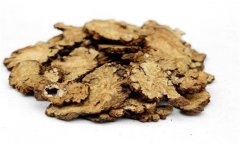 川芎的性能、主治、臨床應(yīng)用及用藥注意事項