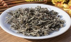 艾葉的性能、主治、臨床應(yīng)用及注意事項(xiàng)