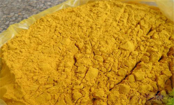 蒲黃的用法、用量與禁忌