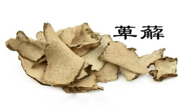 萆薢的用法，用量與禁忌