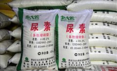 氮肥利用率大約是多少，氮肥是尿素肥嗎？