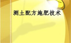什么是測(cè)土配方施肥，測(cè)土配方施肥的基本要求