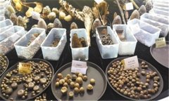 怎樣安全貯存蔬菜種子？蔬菜種子知識