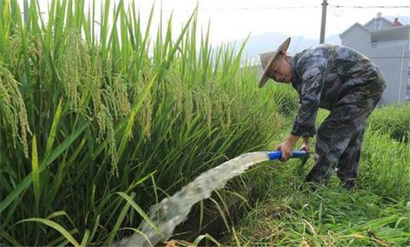 科學管水、防止早衰