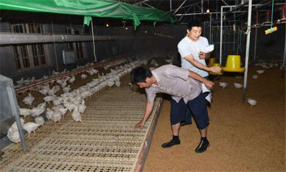 無污染、零排放