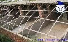 建豬舍應(yīng)注意哪些問題，如何做好豬舍消毒工作