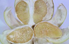 糖尿病人吃什么水果好，糖尿病人不宜吃的食物