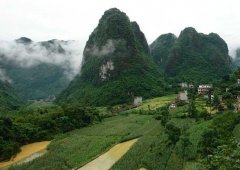 目前較好的農(nóng)村致富項(xiàng)目有哪些？