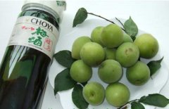 怎樣自制梅子酒？介紹梅子酒的做法