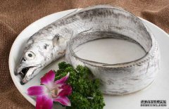 帶魚的產(chǎn)地、分布生活習(xí)性與品種分類