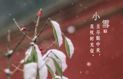 小雪節(jié)氣是什么意思，小雪節(jié)氣吃什么食品？