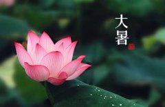 大暑是幾月幾日，大暑的節(jié)日民俗的哪些？