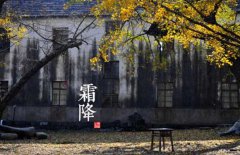 寒露是什么意思，寒露的氣候特征有哪些？