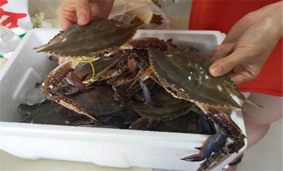 螃蟹屬于海鮮嗎？