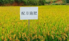 測土配方施肥的意義、作用