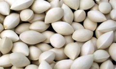 白果的功效與作用及食用方法、禁忌