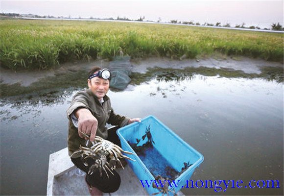 水源充足、水質(zhì)清新無污染