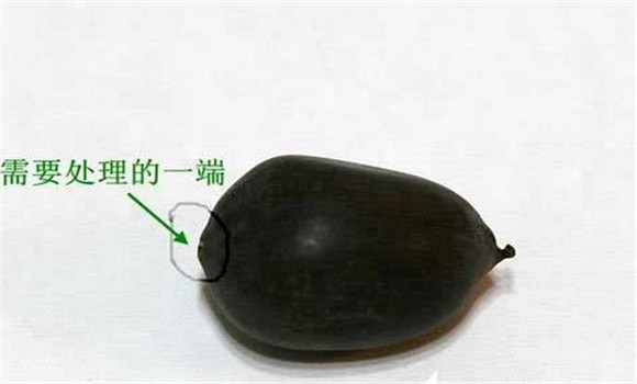 碗蓮的種植方法帶圖，碗蓮的種植方法與技術(shù)詳