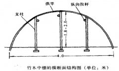 塑料中棚加外覆蓋能明顯使蔬菜早熟，效益高
