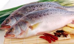 鱸魚是海魚還是淡水魚，海鱸魚和河鱸魚的區(qū)別