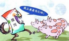 豬流行性腹瀉怎么治療、預(yù)防與防治要點(diǎn)有哪些