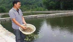 魚塘如何施肥？魚塘施肥技術(shù)的三個(gè)要點(diǎn)
