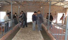 奶牛場設(shè)施設(shè)備有哪些，是如何分類的？