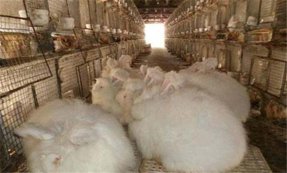 飼料要搭配、交換