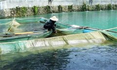 魚赤皮病的治療方法、是什么引起、有什么癥狀