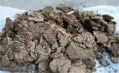 雞糞如何發(fā)酵成有機肥，用什么發(fā)酵菌好？