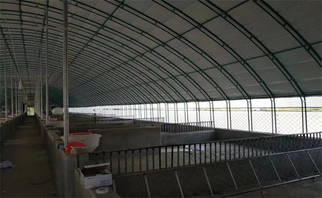 塑膜暖圈的建設方法，塑膜暖圈養(yǎng)豬的優(yōu)點