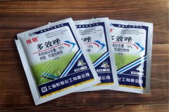 如何正確使用多效唑，用多了發(fā)生藥害怎么辦？