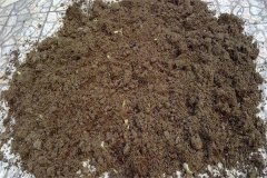 怎樣用多菌靈給土壤消毒，多菌靈可防治哪些病