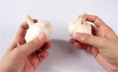 怎樣種植大蒜？大蒜栽培技術(shù)十大要點(diǎn)