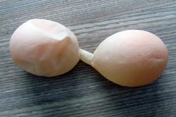 雞下軟蛋怎么辦、如何防治
