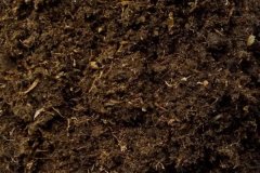 什么是基質(zhì)土 基質(zhì)土的配制方法是什么？