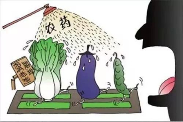 怎樣合理使用農(nóng)藥，防止農(nóng)藥對蔬菜的污染