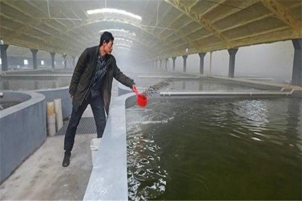 pH值。表示水的酸堿度