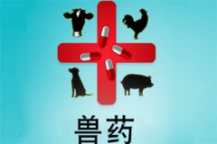 獸藥屬于藥品嗎？獸藥與人用藥的區(qū)別是什么？