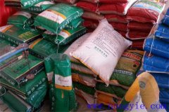 如何選小麥種子？這六個(gè)方面要考慮清楚！