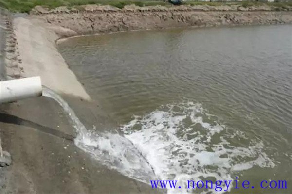 定期沖換水，保讓魚塘水質(zhì)