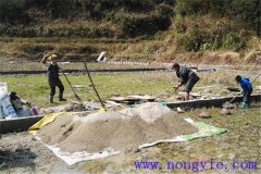 稻田養(yǎng)魚需要建設哪些基本設施？