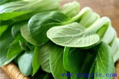 上海青是什么菜？上海青種植時(shí)間和方法