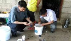 魚病治療中的發(fā)現(xiàn)、送診、用藥問題