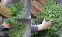 毛尖茶手工制作的具體步驟和方法是什么？