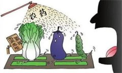 農(nóng)藥“安全、經(jīng)濟(jì)、有效”的使用原則