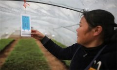 溫度對(duì)農(nóng)作物生長(zhǎng)發(fā)育的影響有哪些方面？